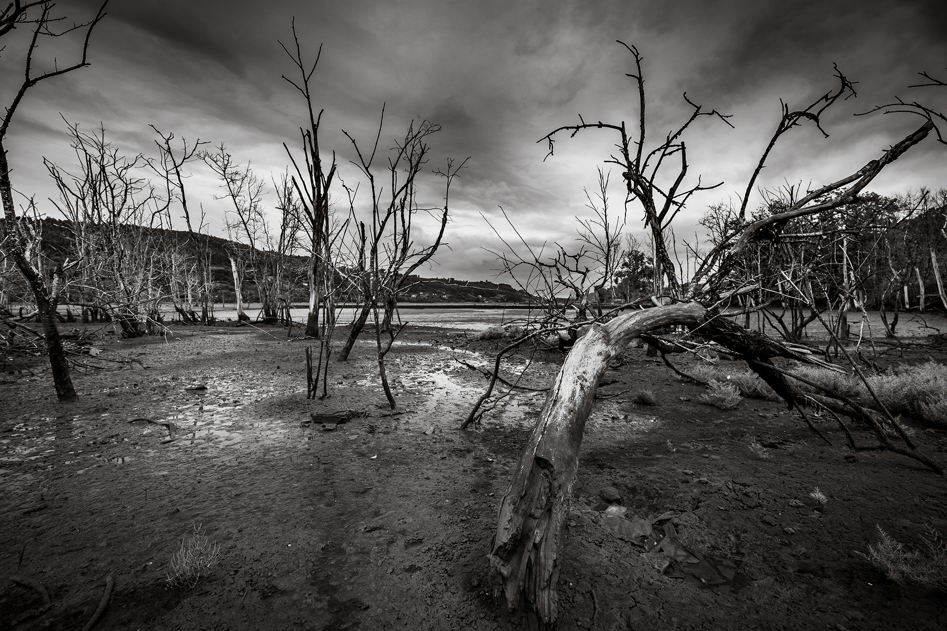 Fotografía 2º premio sección Villaviciosa